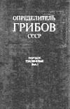 Семейство Тиллетиевые Семейство Тиллетиевые
